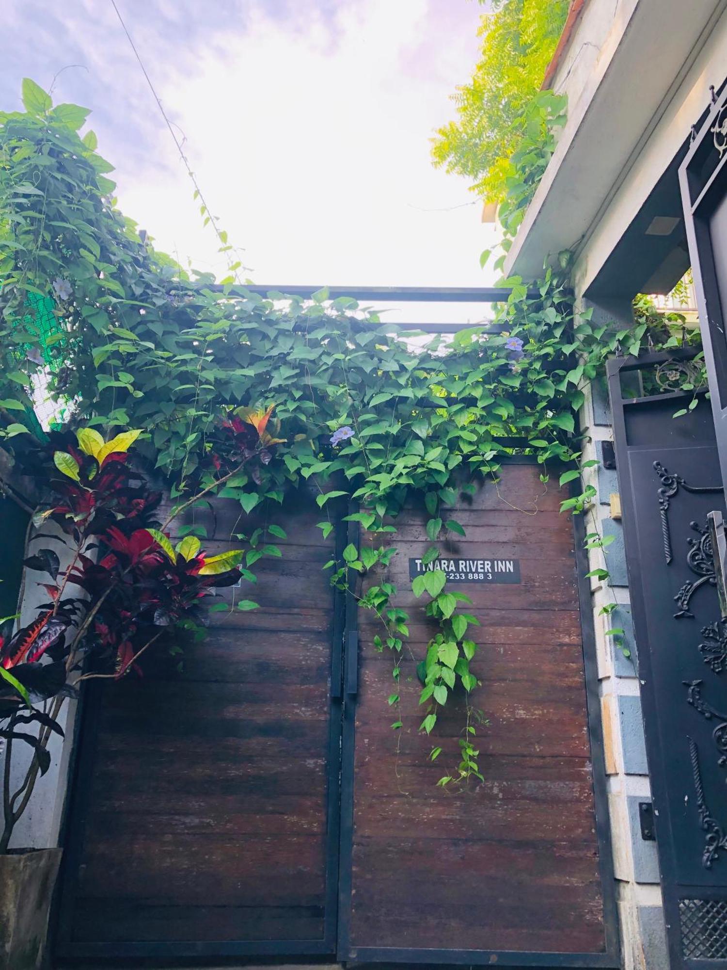 Tinara River Inn, 웰리가마 외부 사진